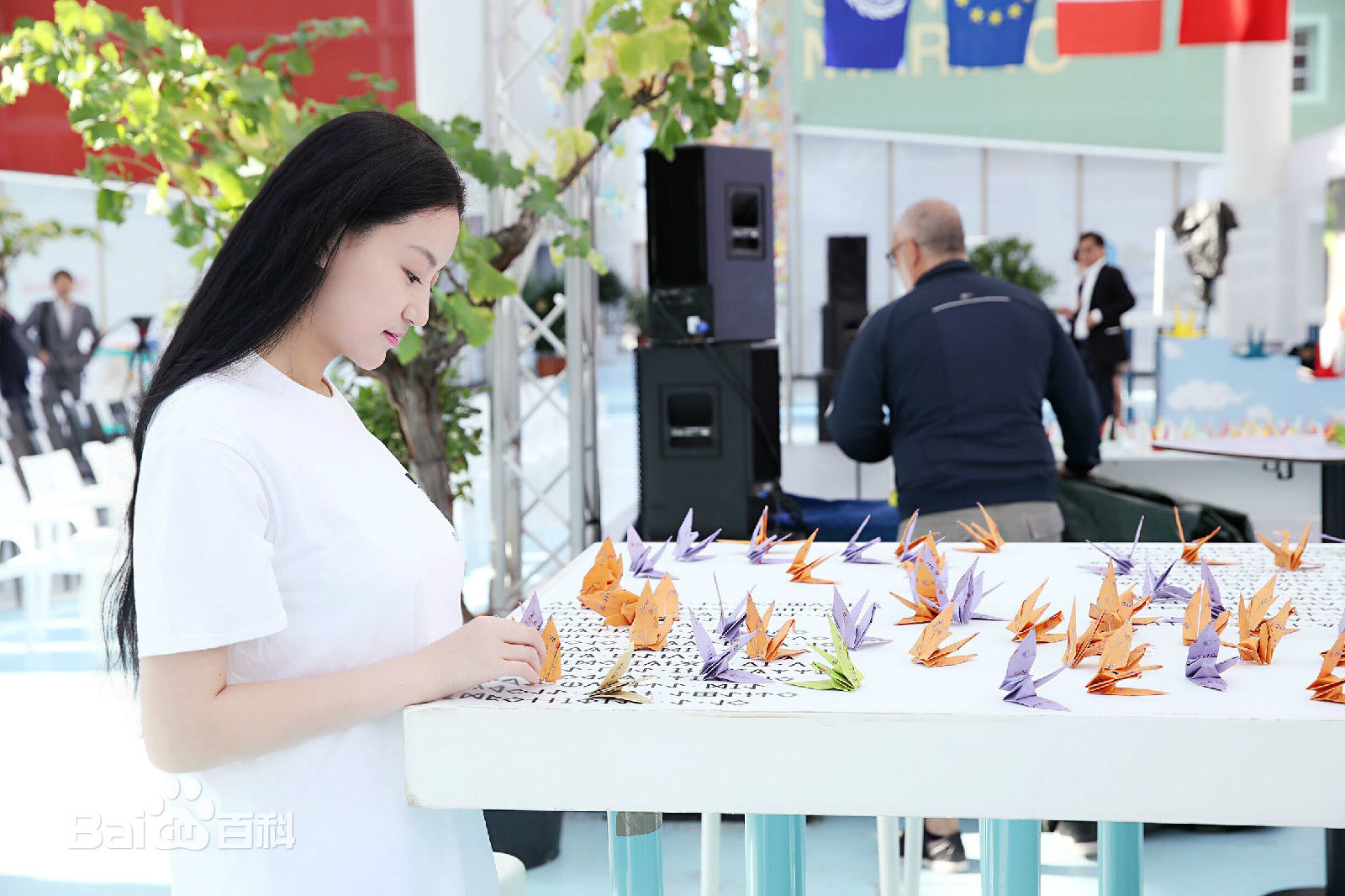 袁满获得米兰世博会国际和平贡献奖素颜照壁纸