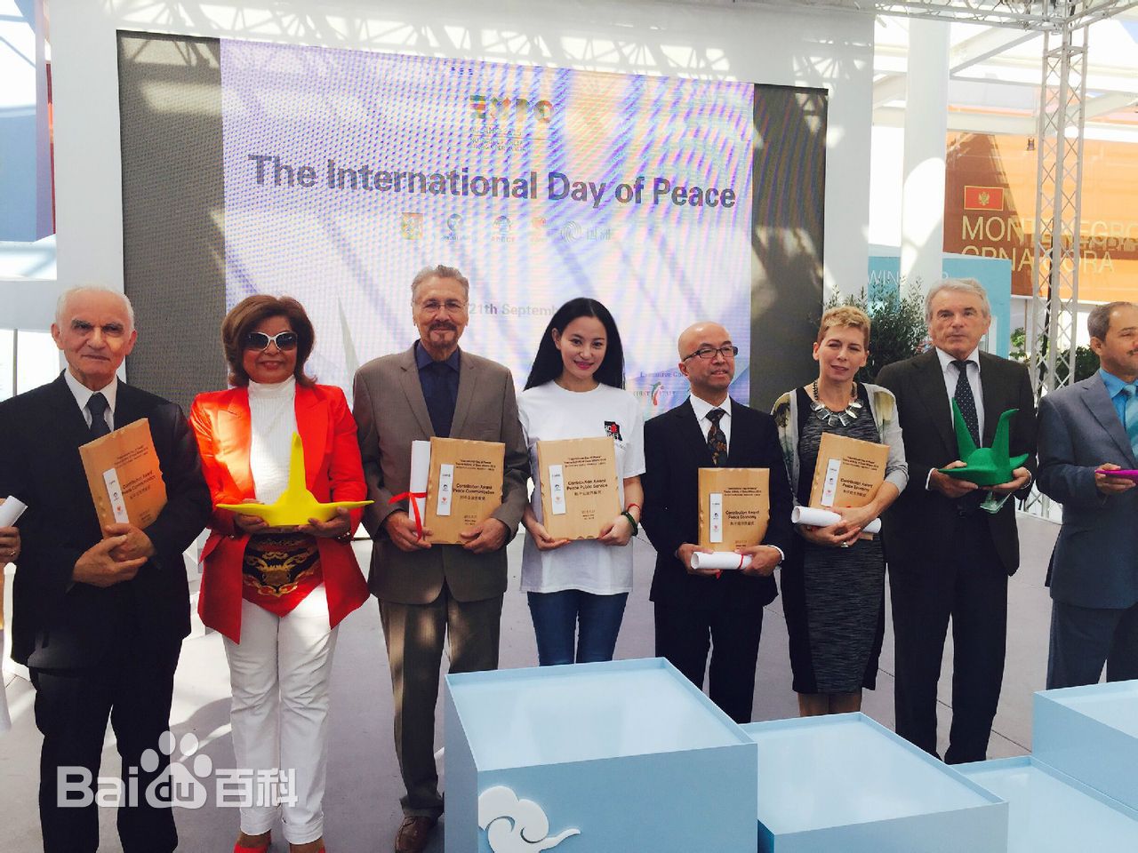 袁满获得米兰世博会国际和平贡献奖素颜照壁纸