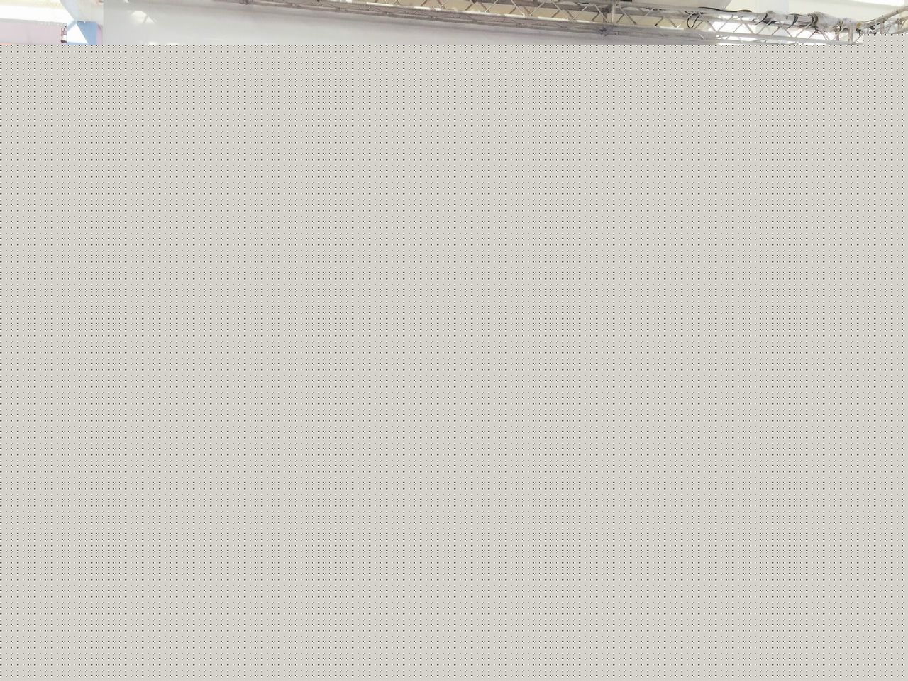 袁满获得米兰世博会国际和平贡献奖素颜照壁纸