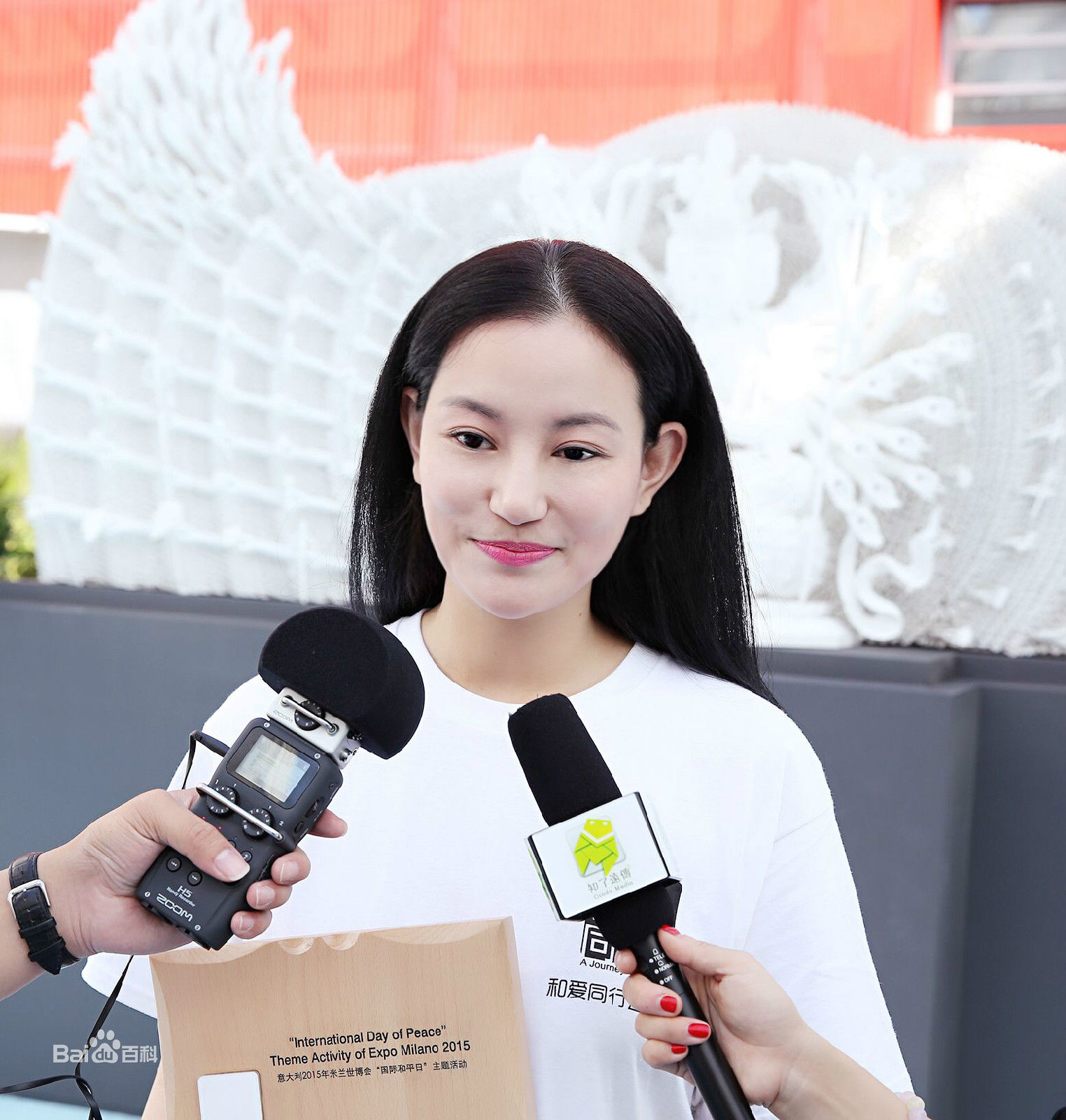 袁满获得米兰世博会国际和平贡献奖素颜照壁纸