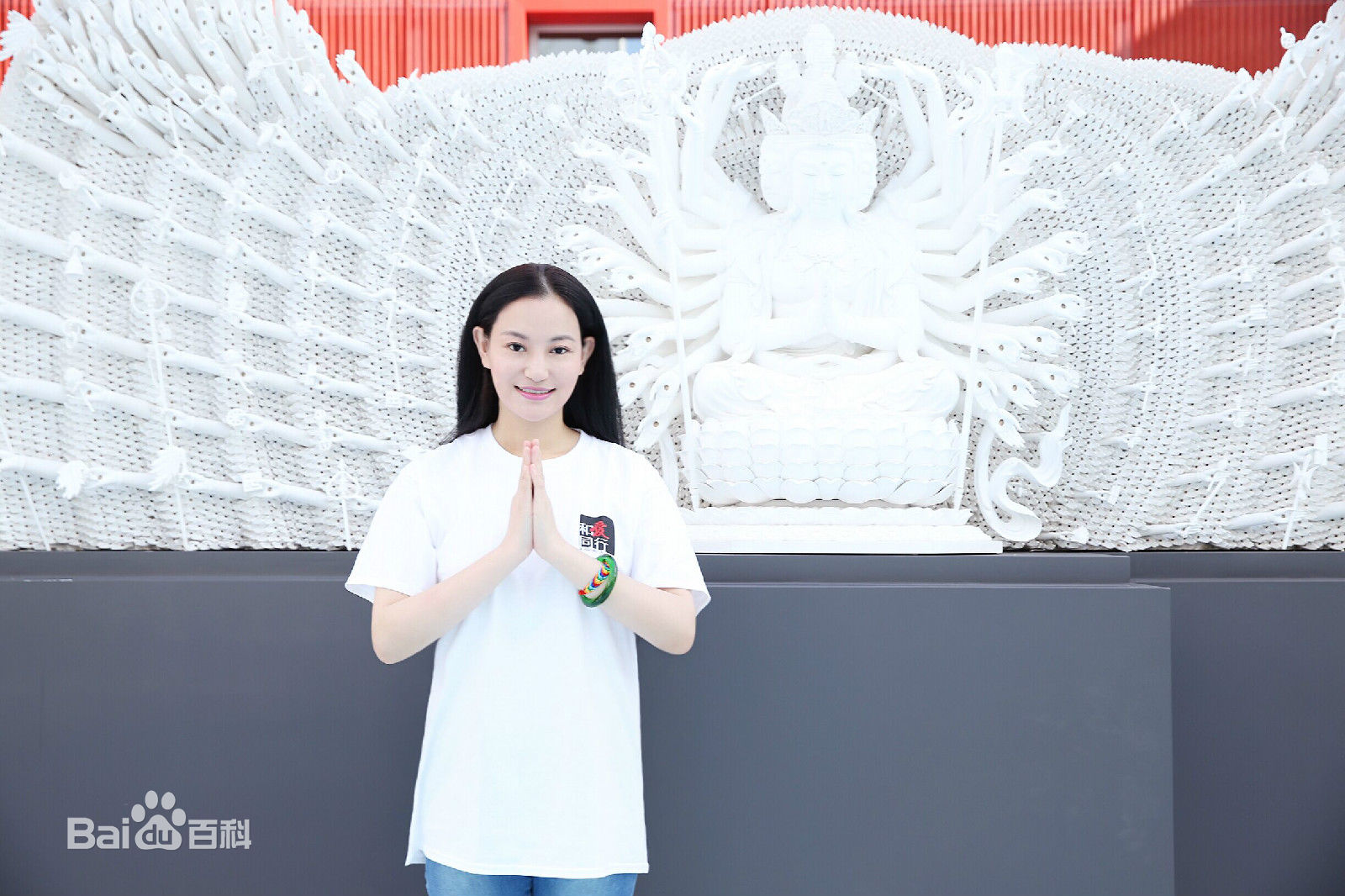 袁满获得米兰世博会国际和平贡献奖素颜照壁纸