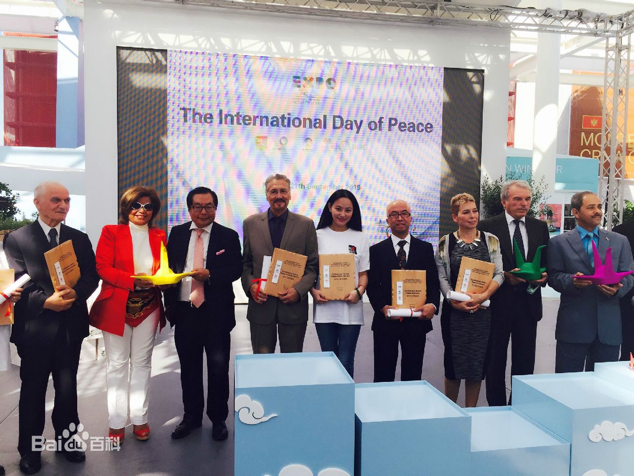 袁满获得米兰世博会国际和平贡献奖素颜照壁纸