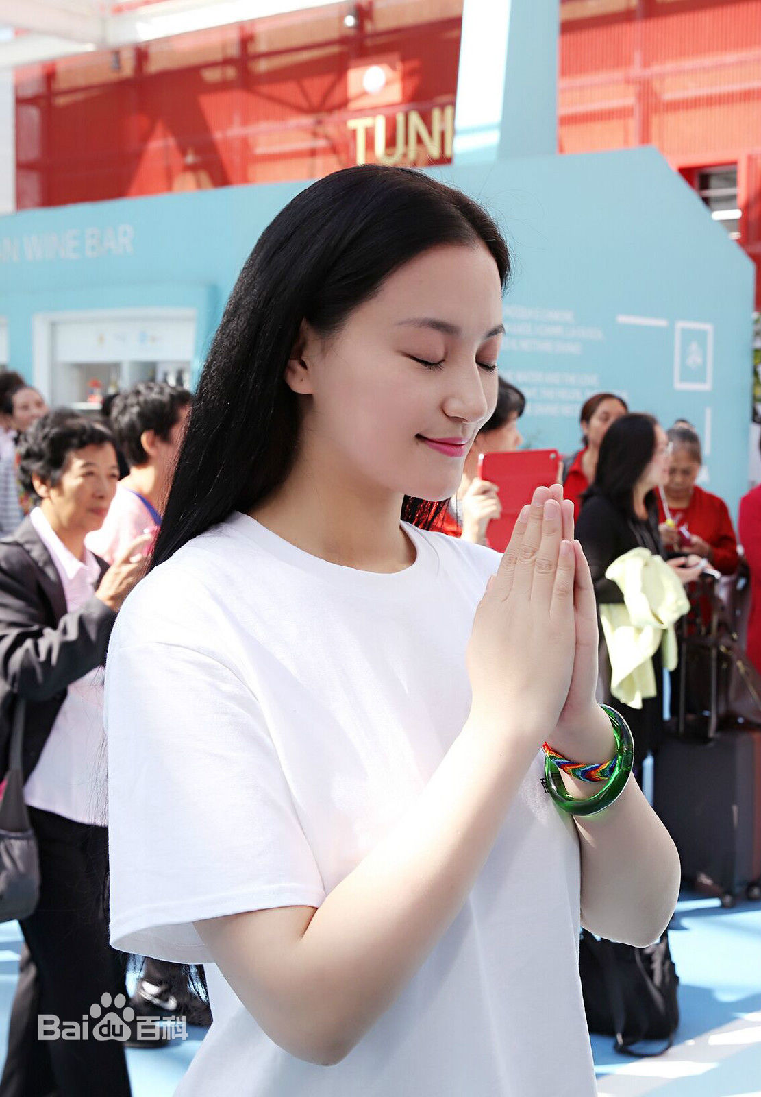 袁满获得米兰世博会国际和平贡献奖素颜照壁纸