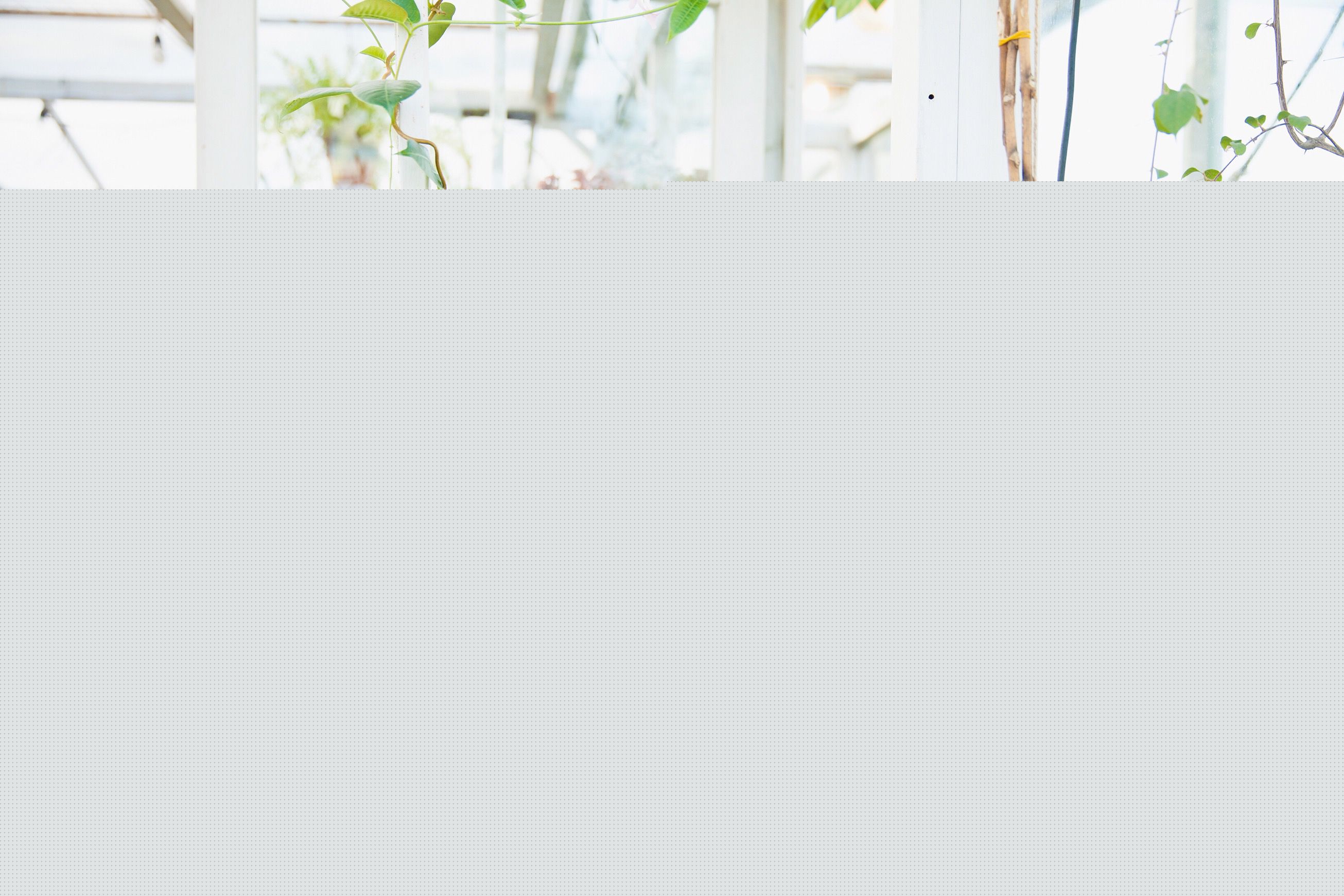 吴晴(Kate)【清纯青春照】前后照片