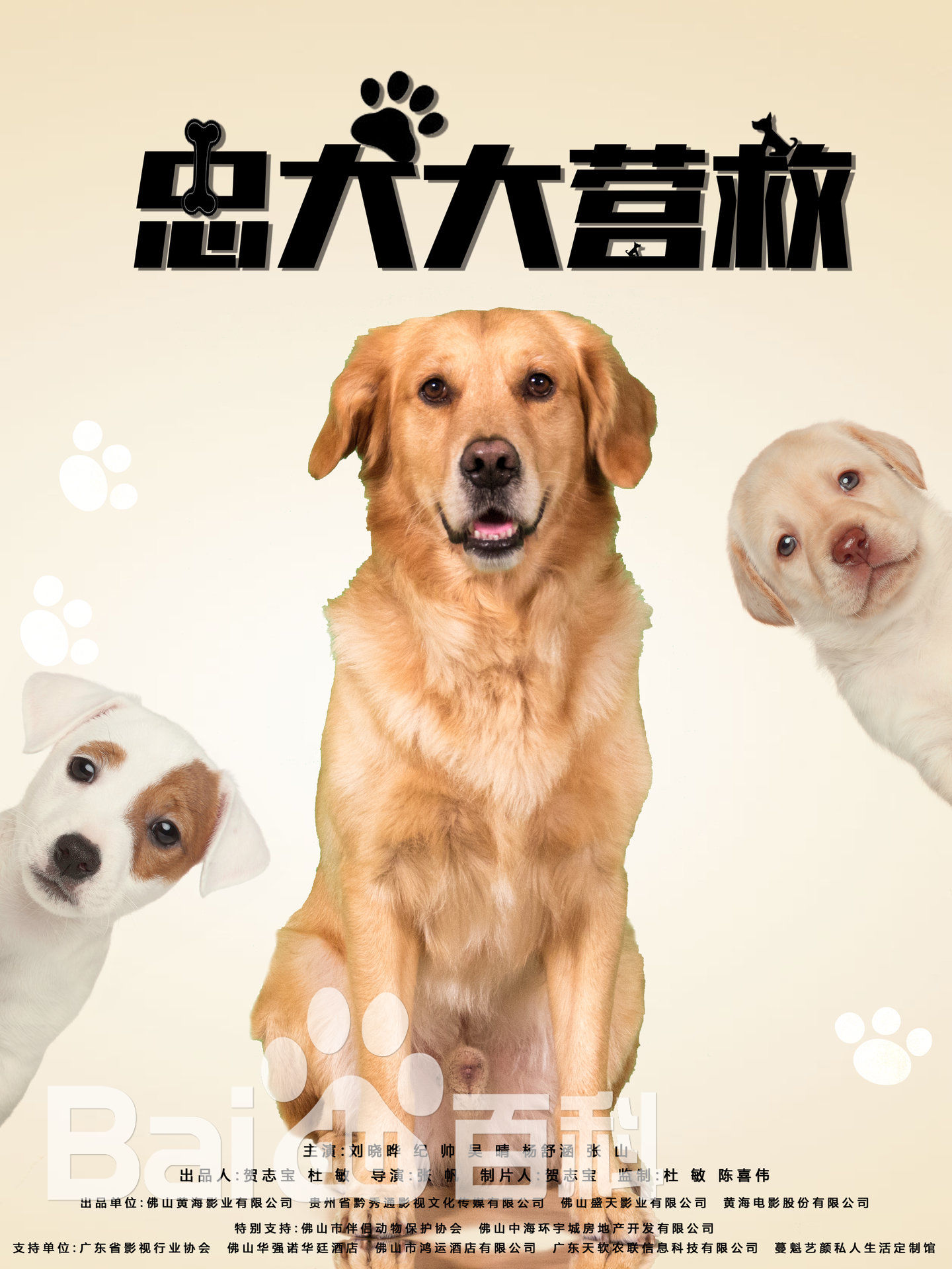 高清吴晴(Kate)图片