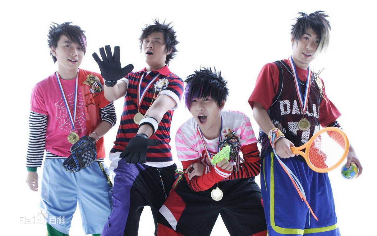 精选花儿乐队(THE FLOWERS)