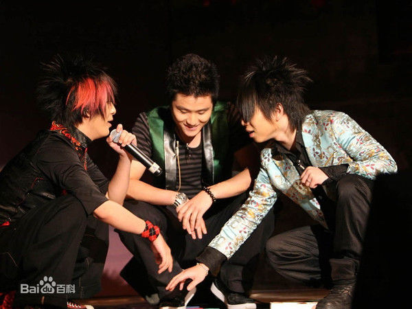 精选花儿乐队(THE FLOWERS)