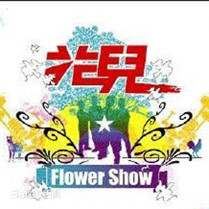 精选花儿乐队(THE FLOWERS)