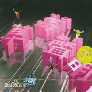 精选花儿乐队(THE FLOWERS)