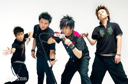 精选花儿乐队(THE FLOWERS)