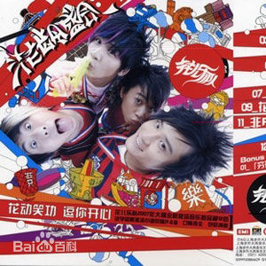 精选花儿乐队(THE FLOWERS)