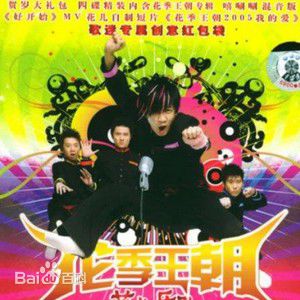 精选花儿乐队(THE FLOWERS)