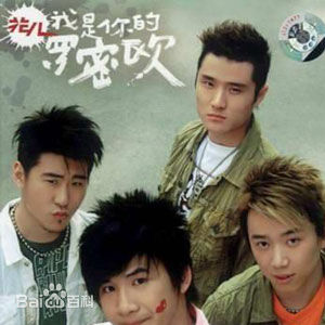 精选花儿乐队(THE FLOWERS)