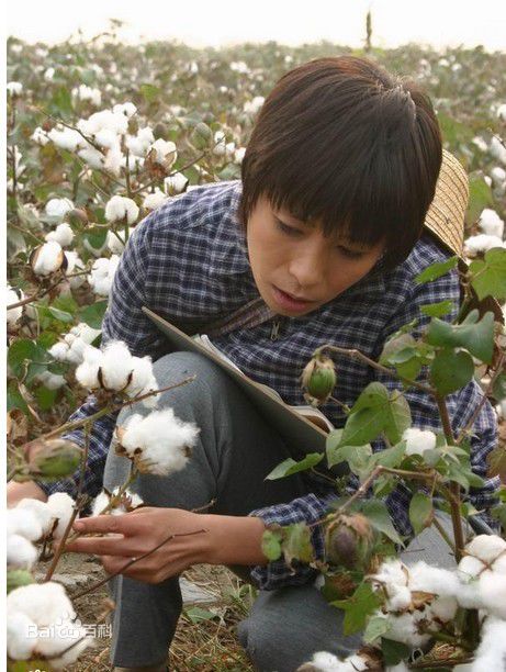 韩善续前后照片