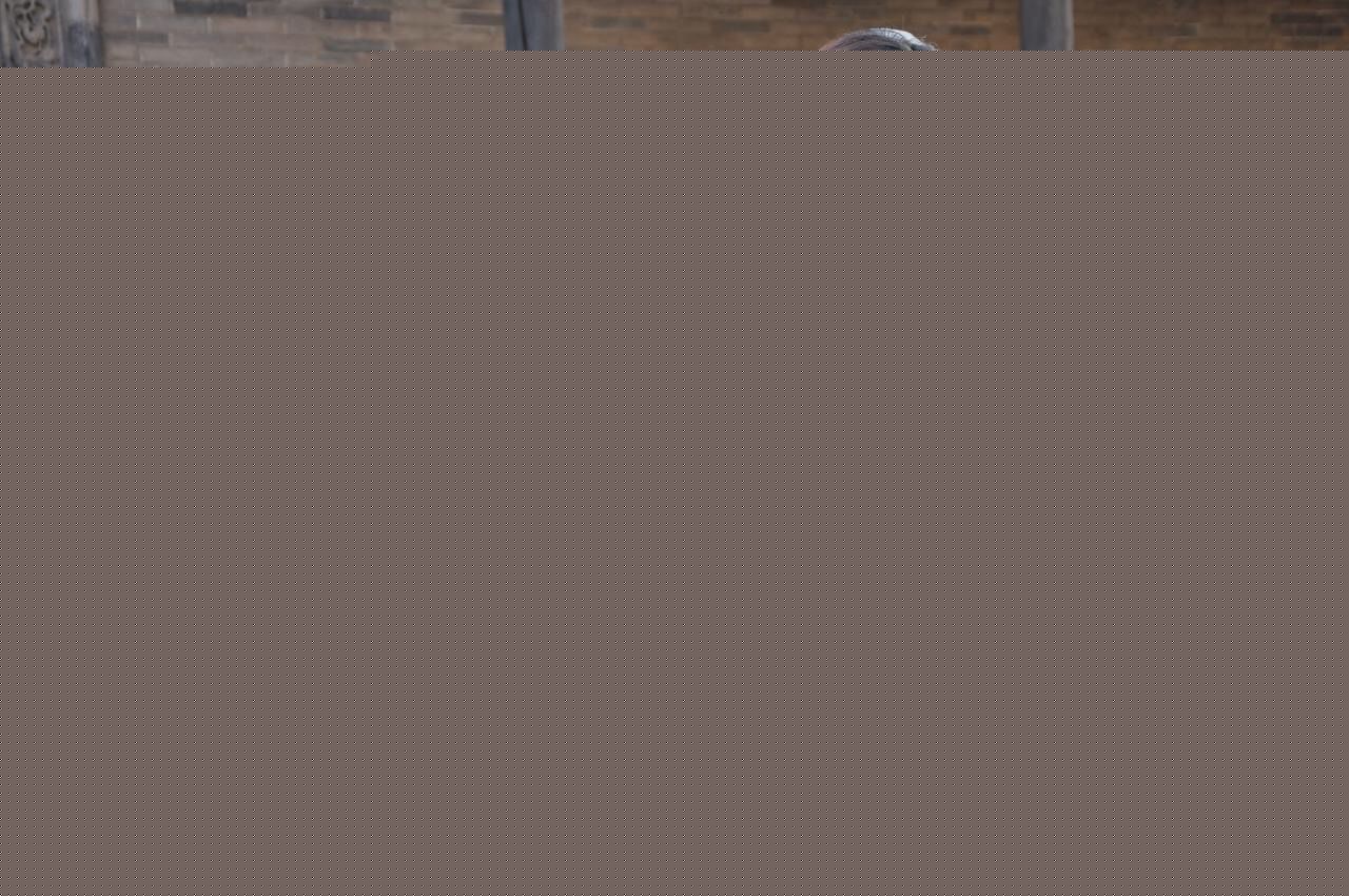 孟霞狐仙-严雨生-前后照片