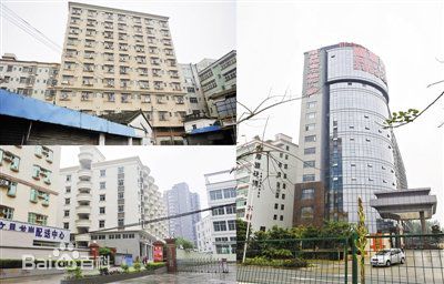 最新周伟思性感图片