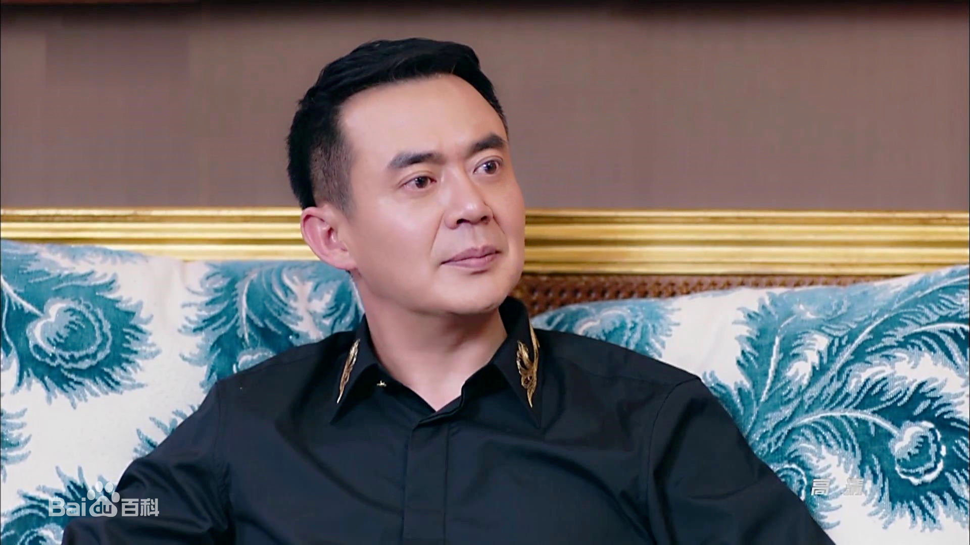 麻维江麻骏最优质剧照