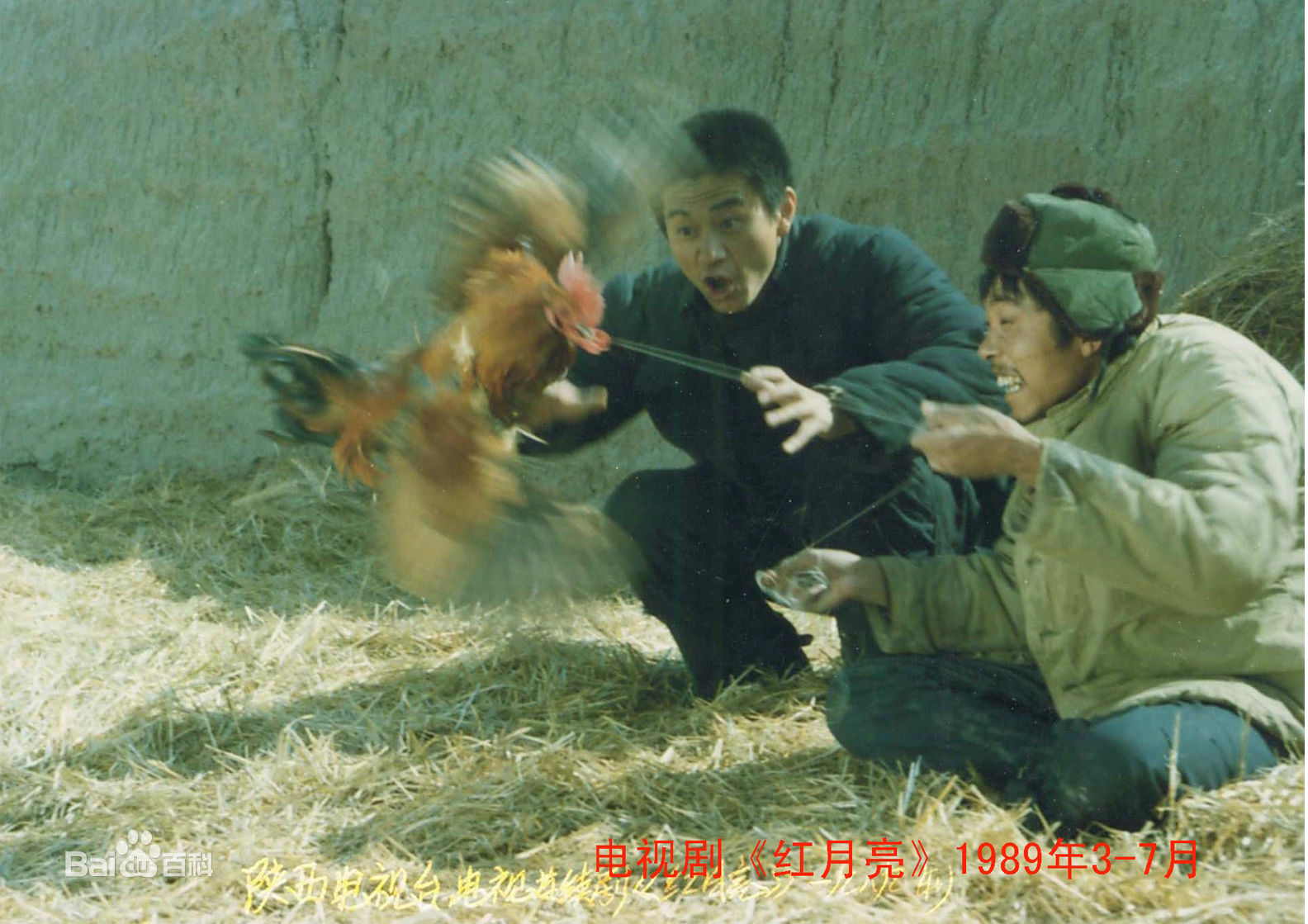 姜少华电视剧照（一）1989年至2013年