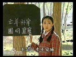 最新杨子纯壁纸