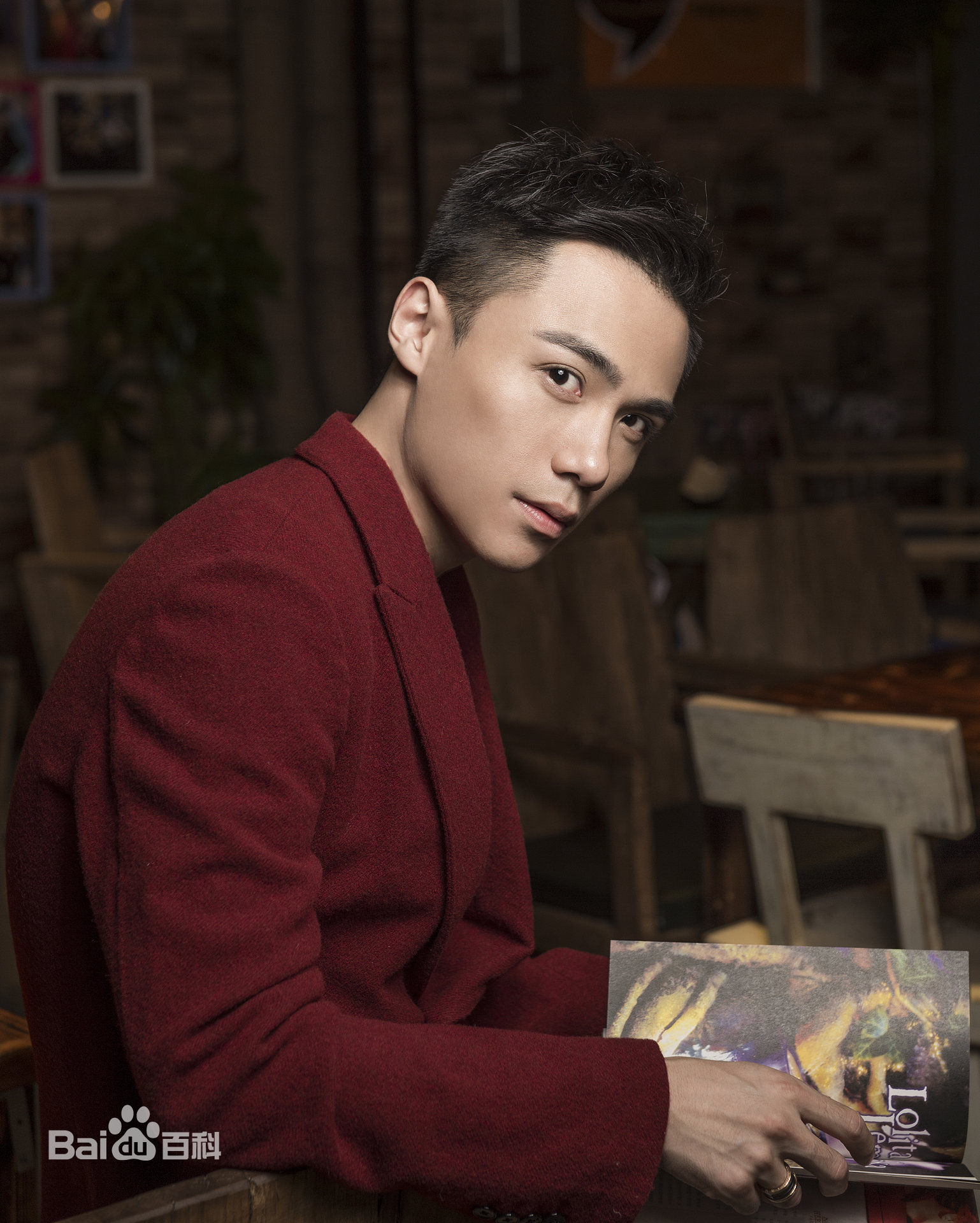 刘岳高清图片图集