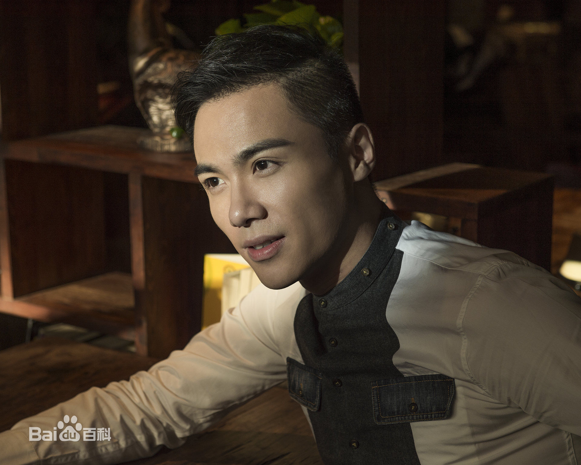 刘岳高清图片图集