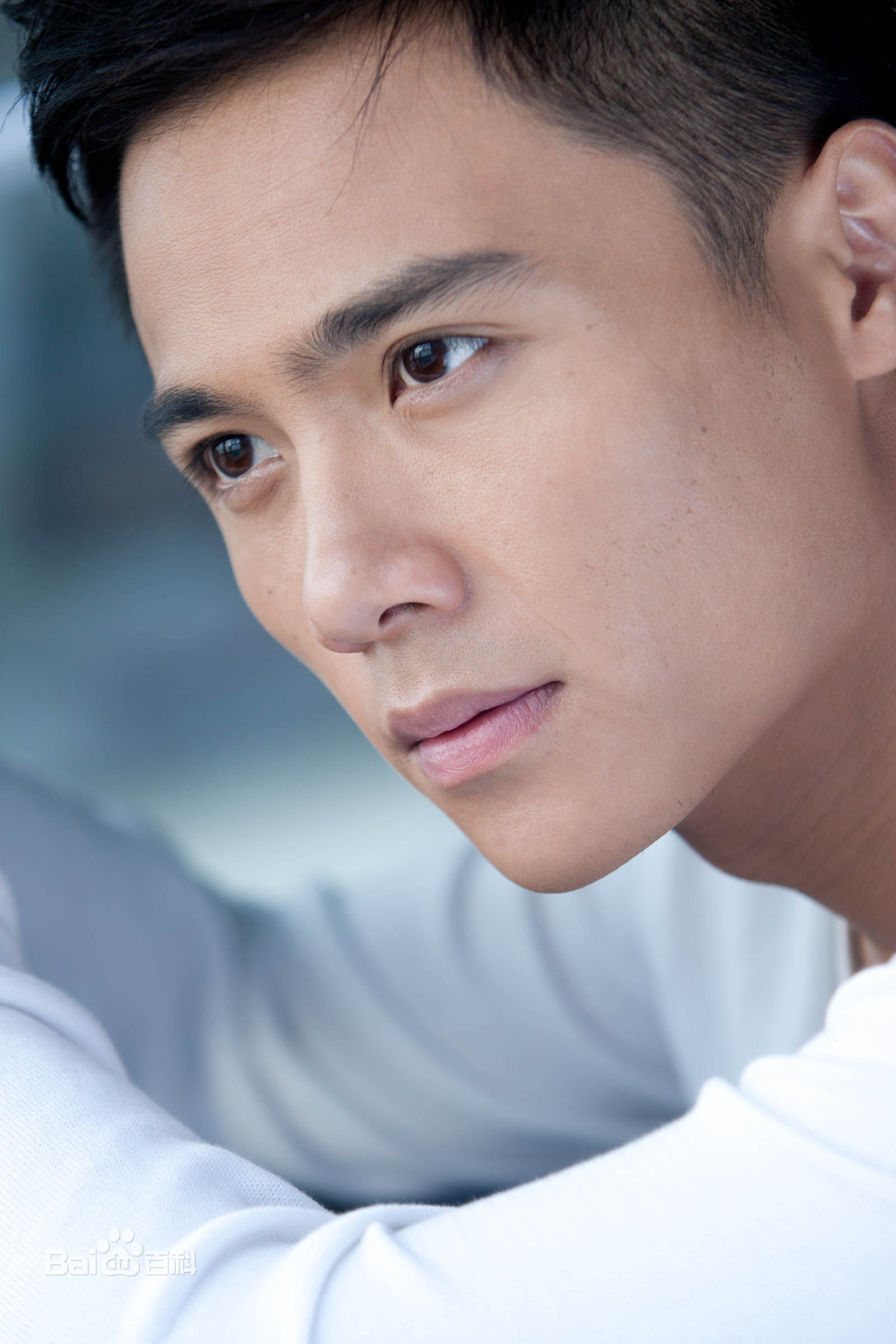 最优质刘岳精彩图册