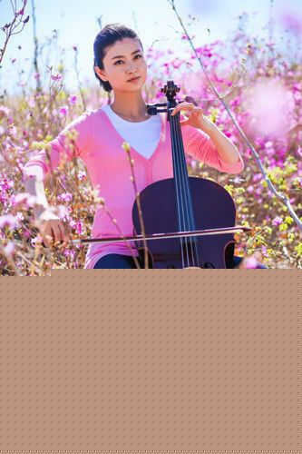 精选廉赛(Lian Sai)