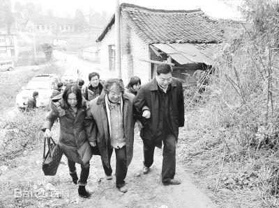 最全王海燕壁纸