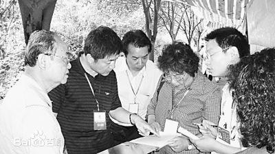 最全王海燕壁纸