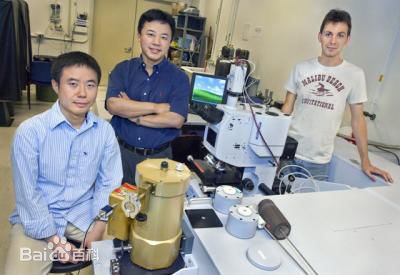 张翔(Zhang Xiang) 工作图片图集