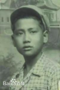 最全张华勋壁纸