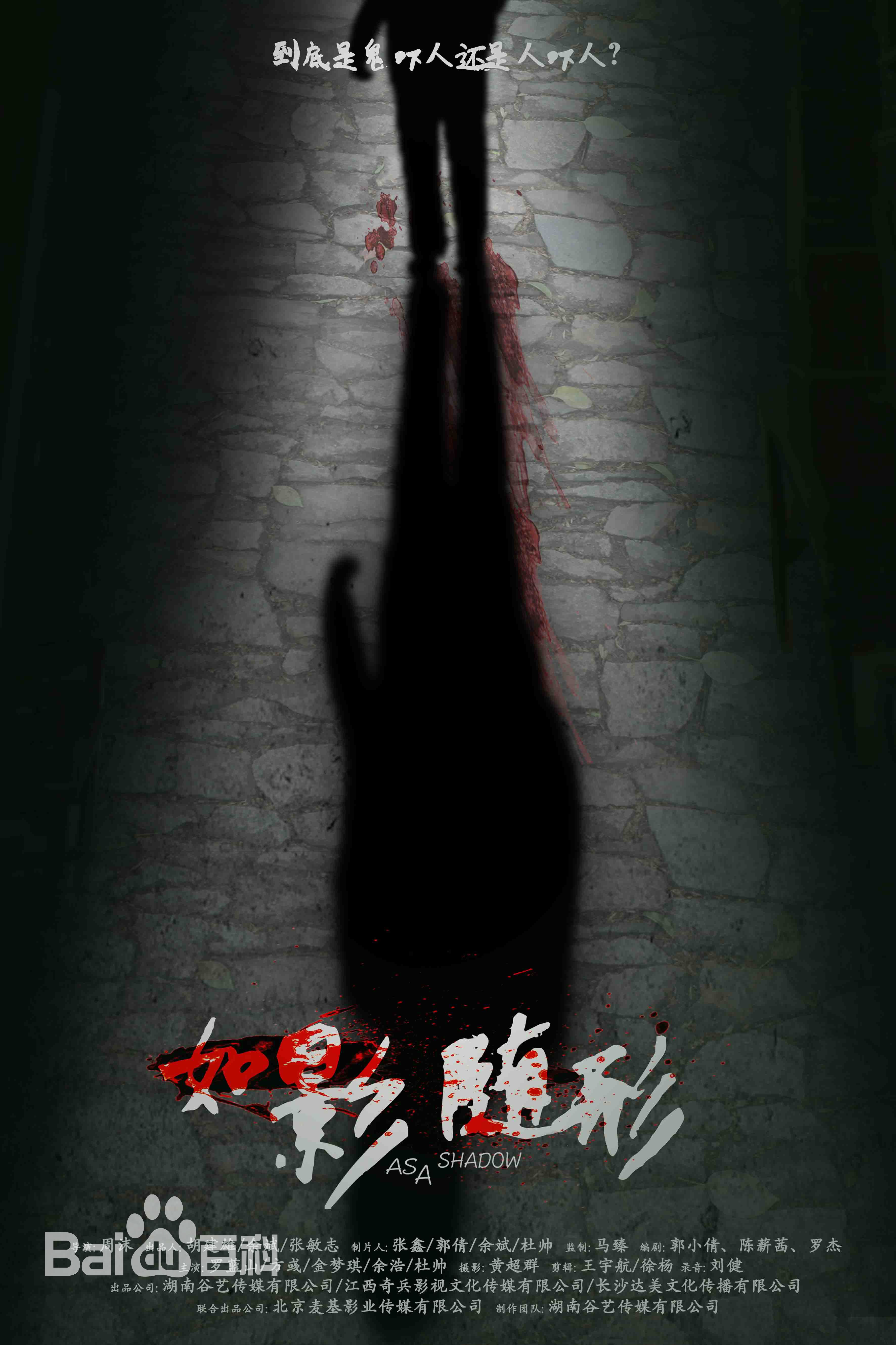 最新罗蓝山(Roy)壁纸