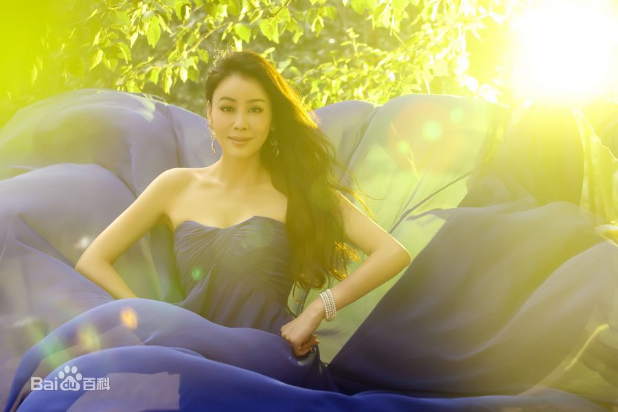 齐千郡郡主风采壁纸壁纸