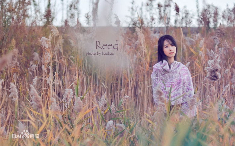 孙锂华(lilly)户外壁纸壁纸