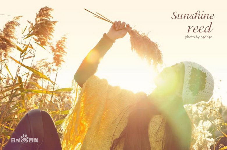 孙锂华(lilly)户外壁纸壁纸