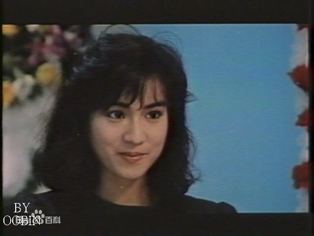 邹琳琳(zoulinlin)图册图片图集