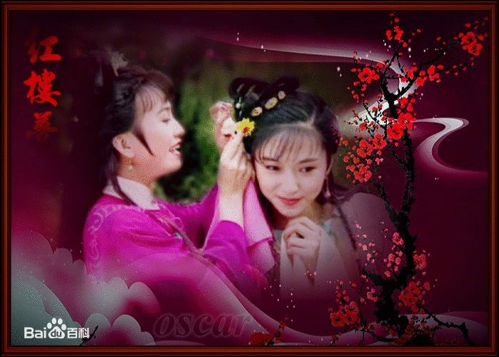 邹琳琳(zoulinlin)1996年台湾华视版红楼梦最优质剧照