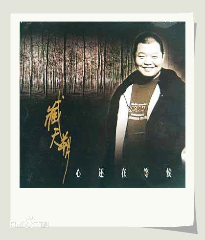 最全臧天朔壁纸