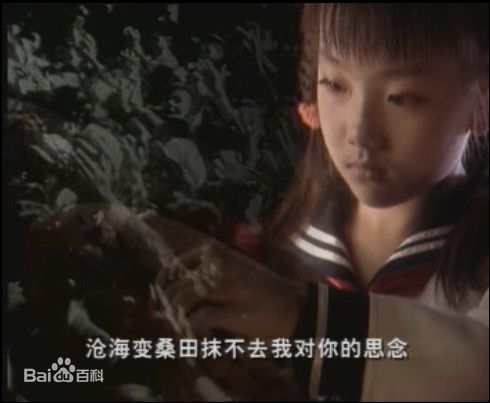 胡雅斯拍摄的MTV图册