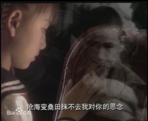 胡雅斯拍摄的MTV图册