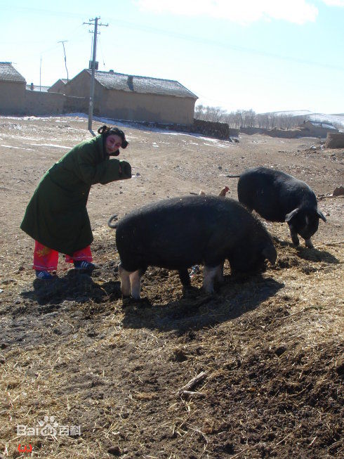 李诚洁博客杂图2生活照