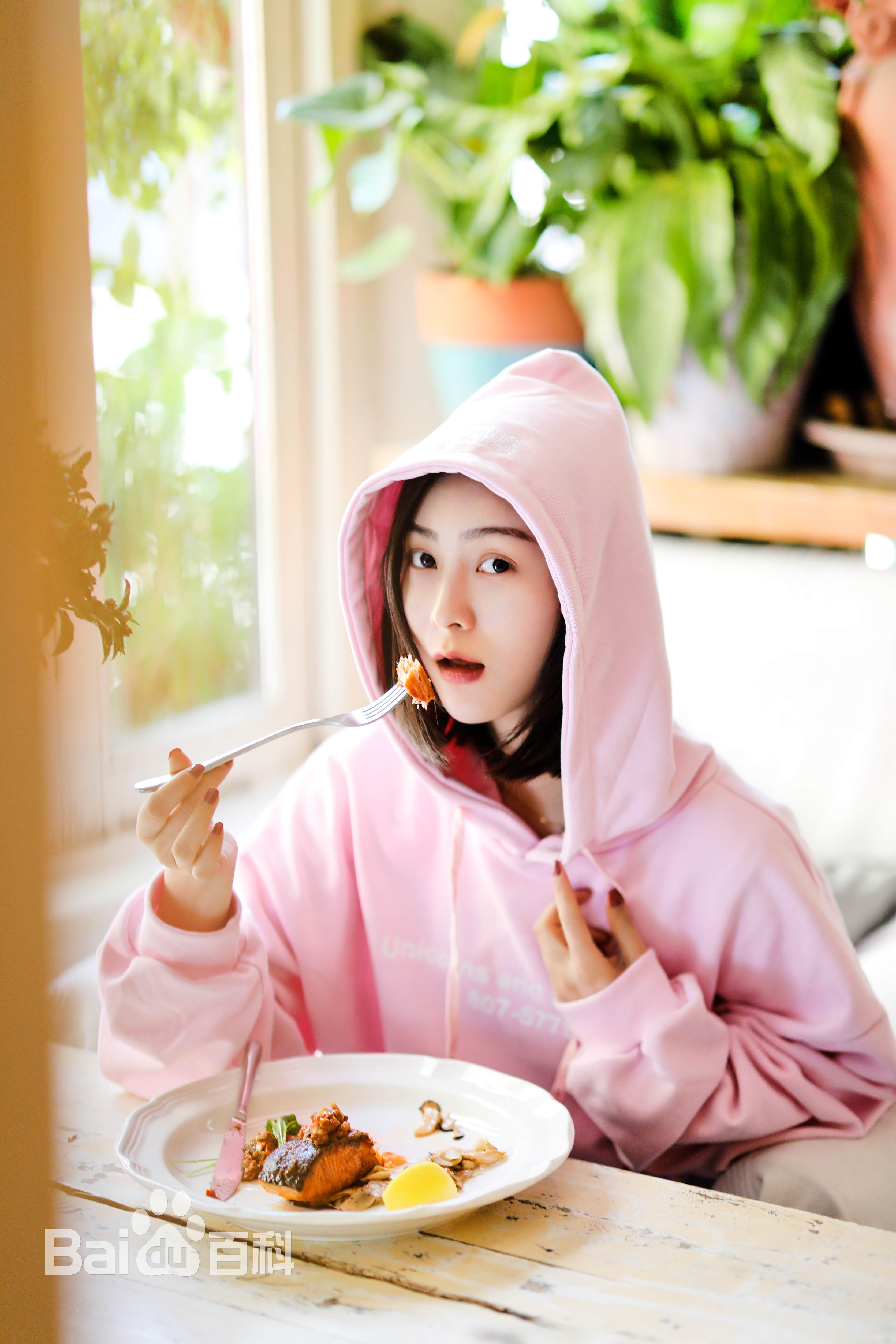 张维娜最全清新壁纸