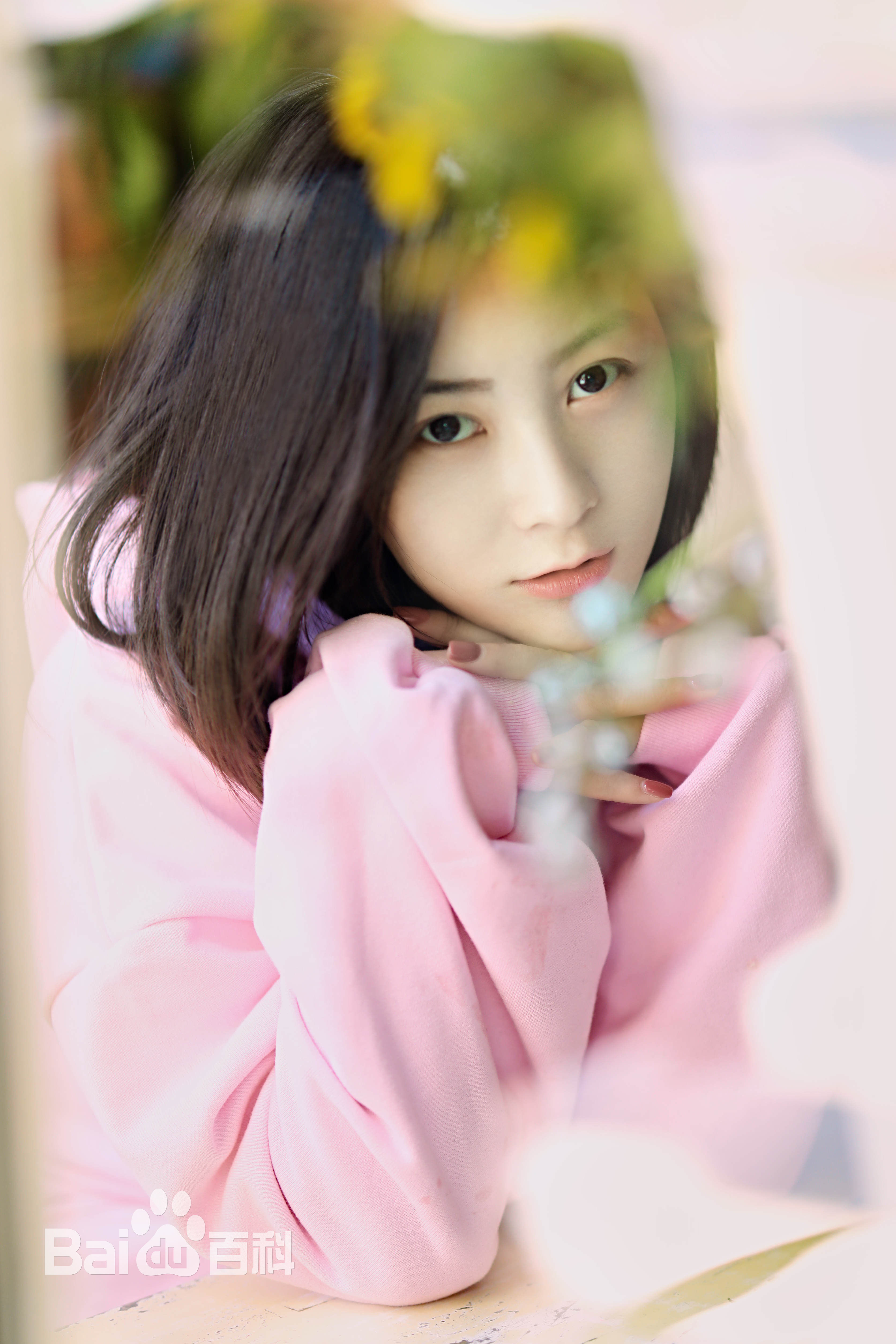 张维娜最全清新壁纸