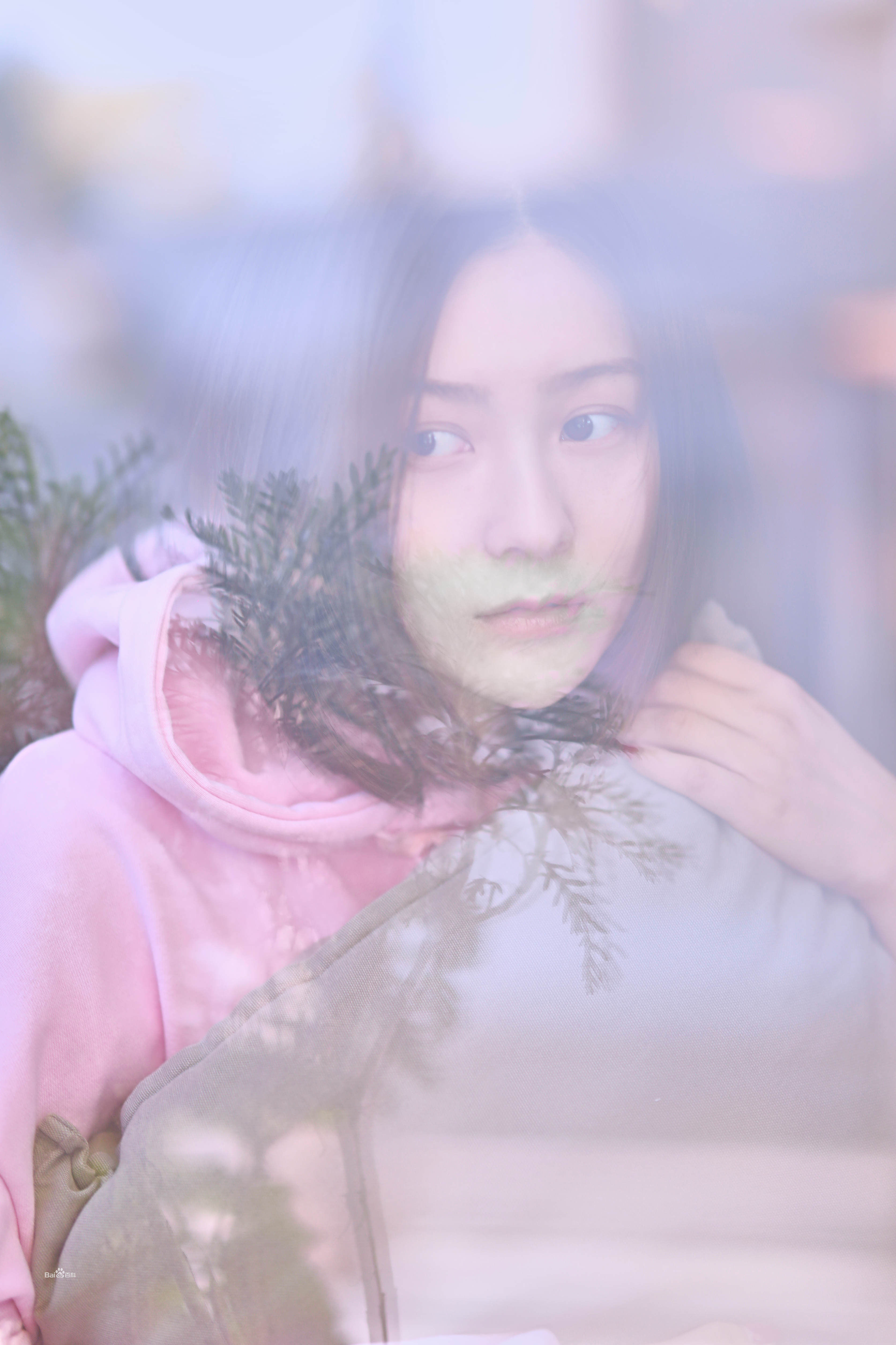 张维娜最全清新壁纸