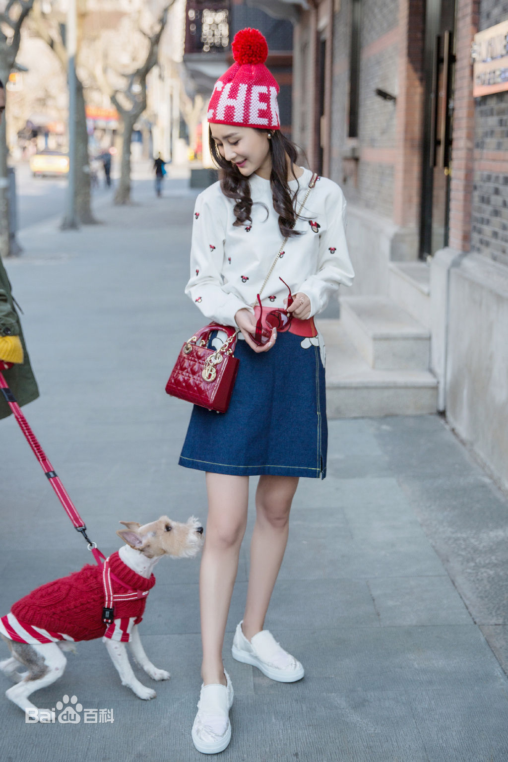 张维娜街拍壁纸壁纸