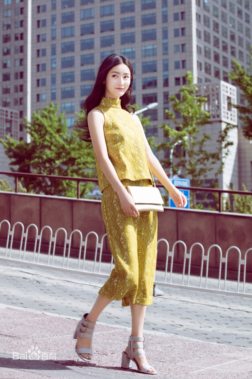 张维娜街拍壁纸壁纸