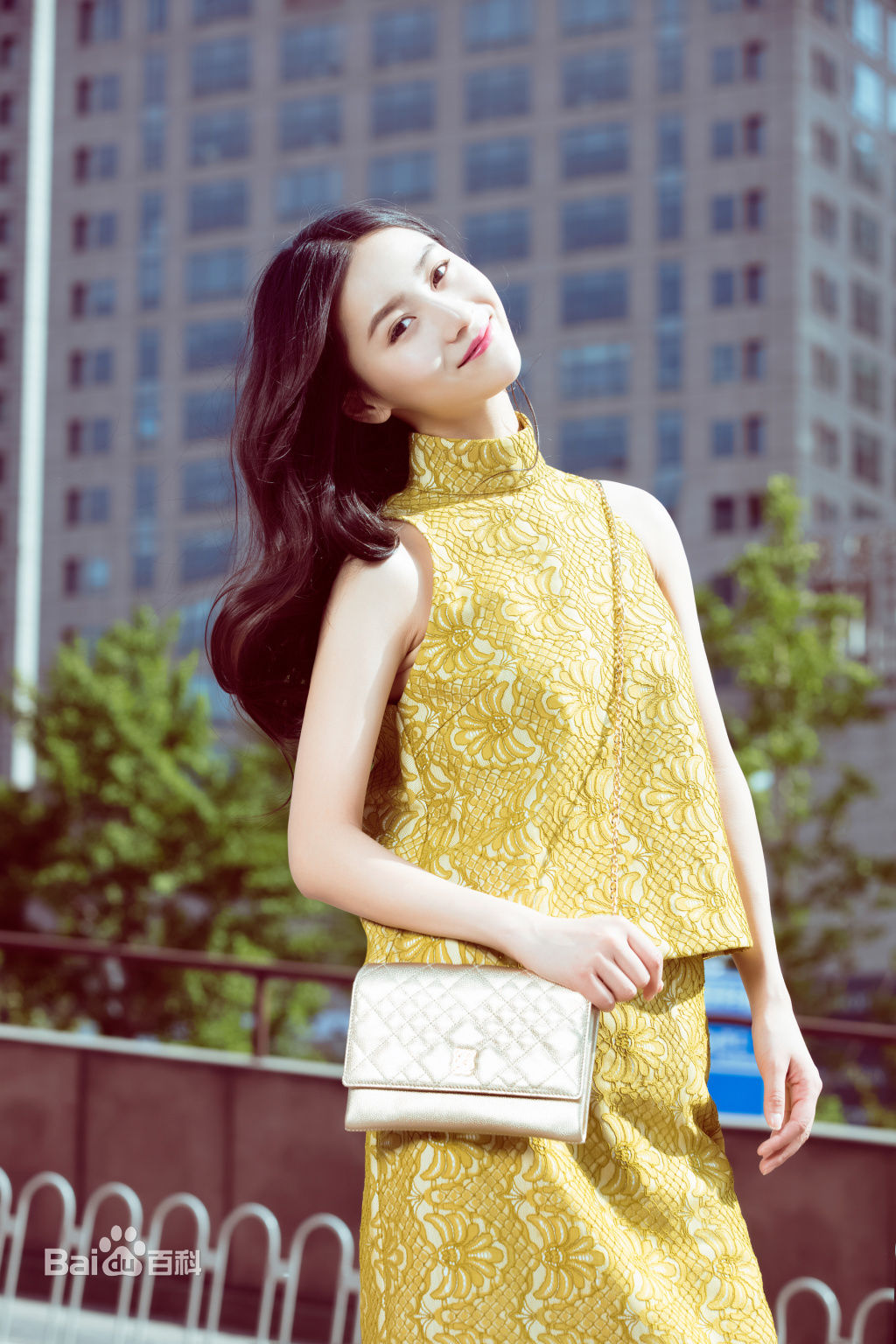 张维娜街拍壁纸壁纸