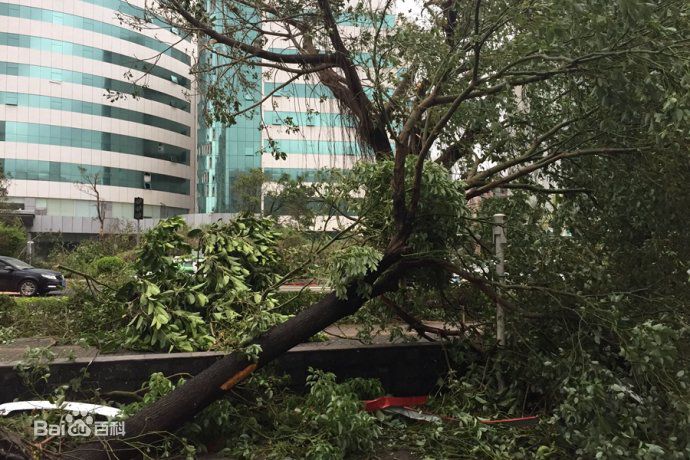 台风天鸽(Typhoon Hato)强重创珠海素颜照相册