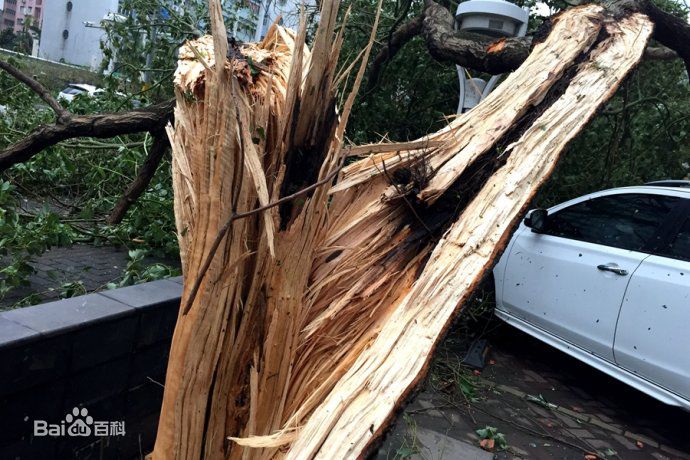 台风天鸽(Typhoon Hato)强重创珠海素颜照相册