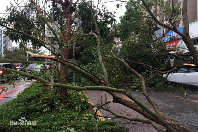 台风天鸽(Typhoon Hato)强重创珠海素颜照相册